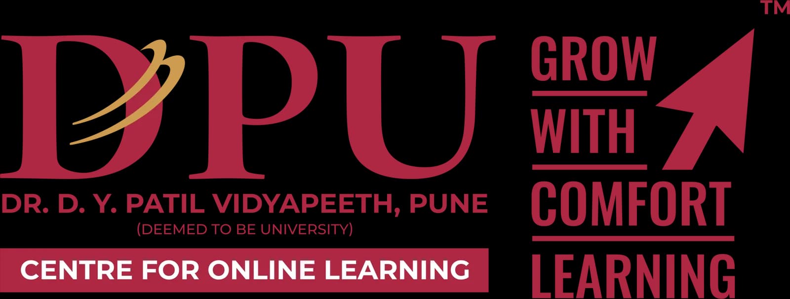 Dr. D.Y. Patil Vidyapeeth (DPU) Online logo